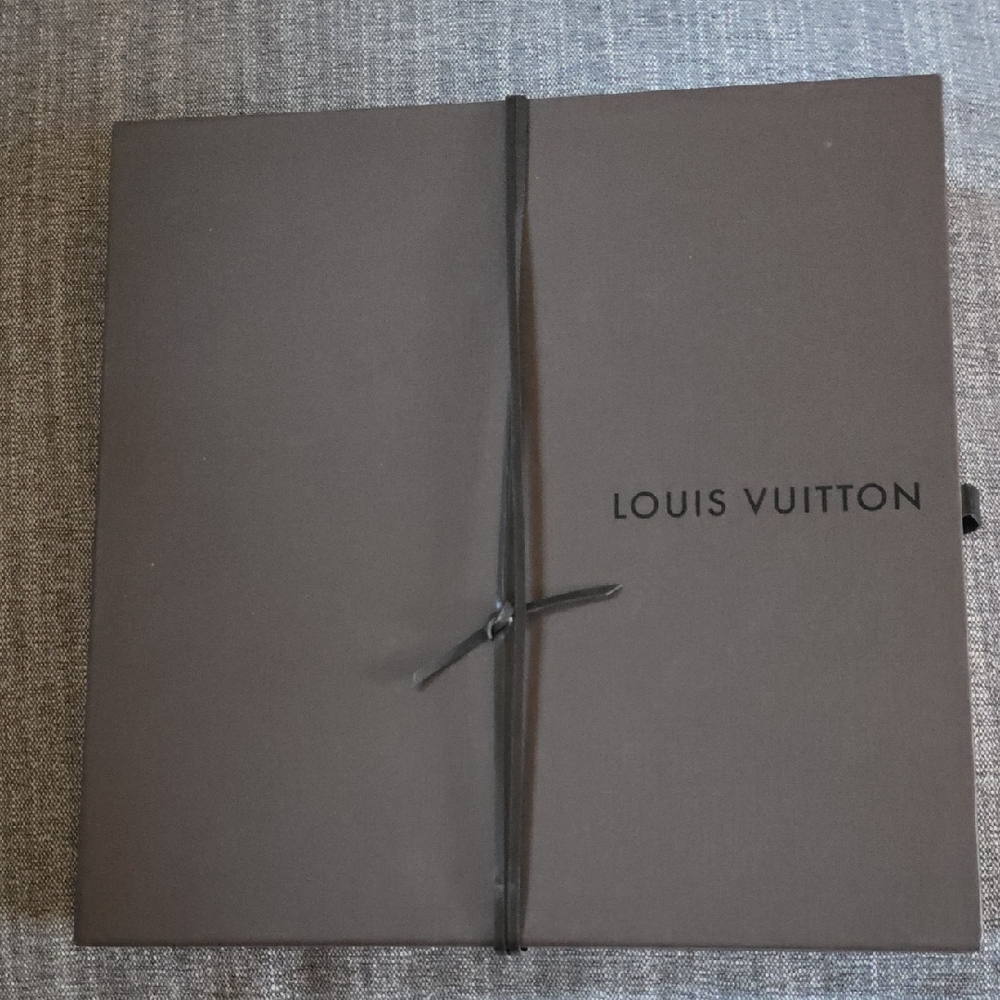 Louis Vuitton Scarv